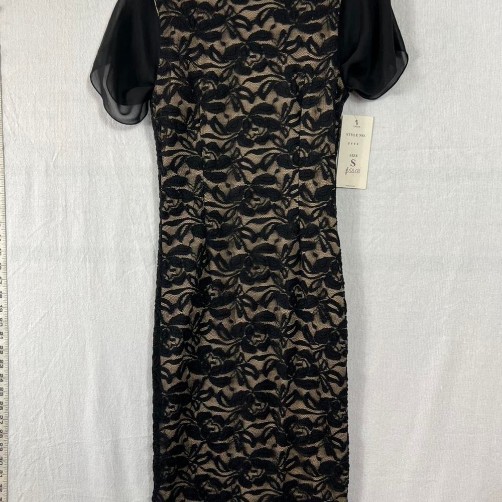 Black Lace Dress Short Sheer Sleeves Goth Vampy